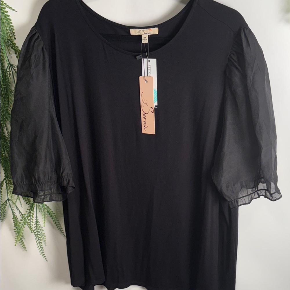 Elegant Black Sheer Sleeve Blouse